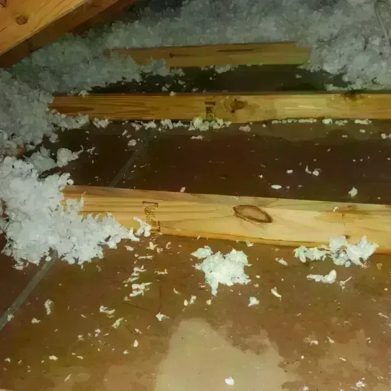 Attic Water Damage in Avon, IN