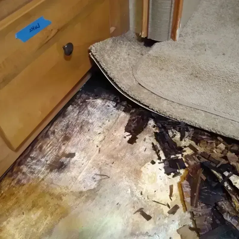 Best Wood Floor Water Damage Service in Avon, IN